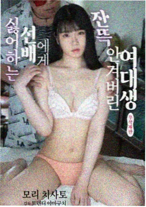 谜骨生香五卷字数数据统计